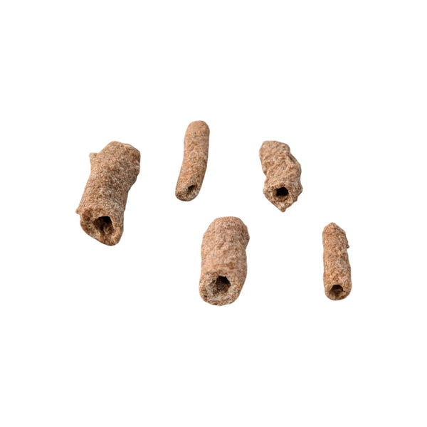 Fulgurites (Lightning Stones) Set of 5