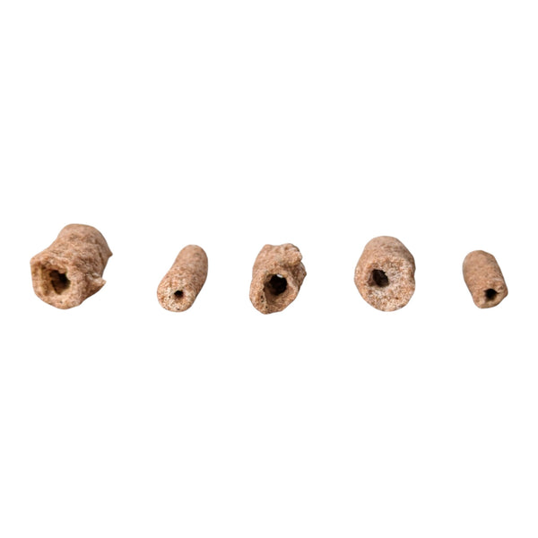 Fulgurites (Lightning Stones) Set of 5