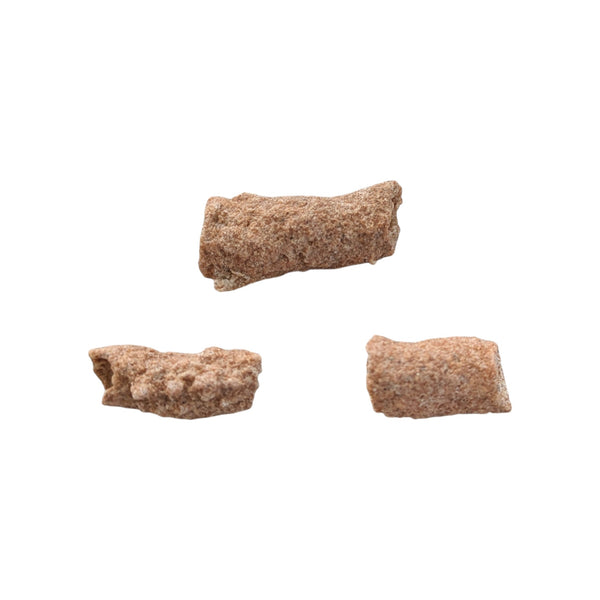 Fulgurites (Lightning Stones) Set of 5