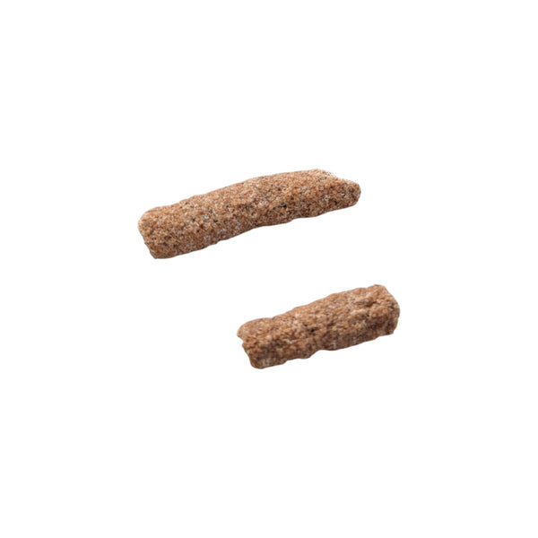 Fulgurites (Lightning Stones) Set of 5
