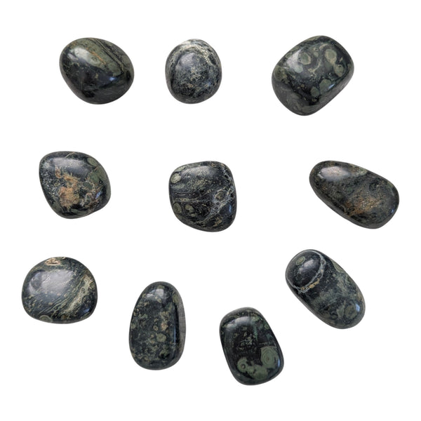 10x Kambaba Jasper Tumblestones 20-30mm, Wholesale Crystals, Bulk Gemstones, Genuine & Ethically Sourced, UK Crystal Shop
