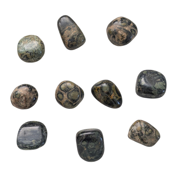 10x Kambaba Jasper Tumblestones 20-30mm, Wholesale Crystals, Bulk Gemstones, Genuine & Ethically Sourced, UK Crystal Shop
