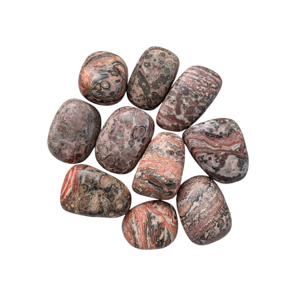 10x Leopard Skin Jasper Tumblestones 20-30mm, Wholesale Crystals, Bulk Gemstones, Genuine & Ethically Sourced, UK Crystal Shop