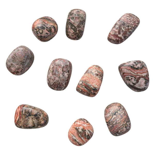 10x Leopard Skin Jasper Tumblestones 20-30mm, Wholesale Crystals, Bulk Gemstones, Genuine & Ethically Sourced, UK Crystal Shop