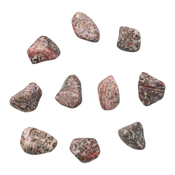 10x Leopard Skin Jasper Tumblestones 20-30mm, Wholesale Crystals, Bulk Gemstones, Genuine & Ethically Sourced, UK Crystal Shop