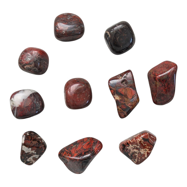 10x Brecciated Jasper Tumblestones 20-30mm, Wholesale Crystals, Bulk Gemstones, Genuine & Ethically Sourced, UK Crystal Shop