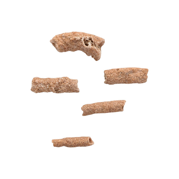 Fulgurites (Lightning Stones) Set of 5