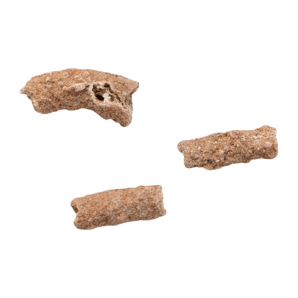 Fulgurites (Lightning Stones) Set of 5