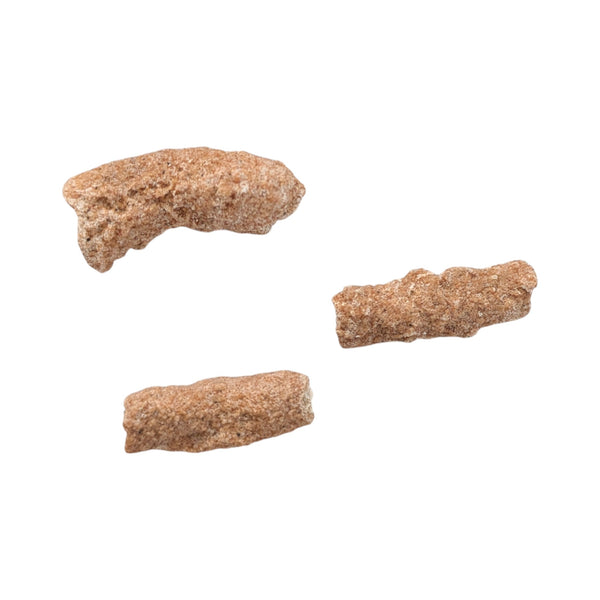 Fulgurites (Lightning Stones) Set of 5