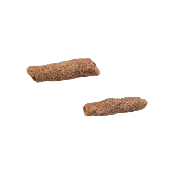 Fulgurites (Lightning Stones) Set of 5