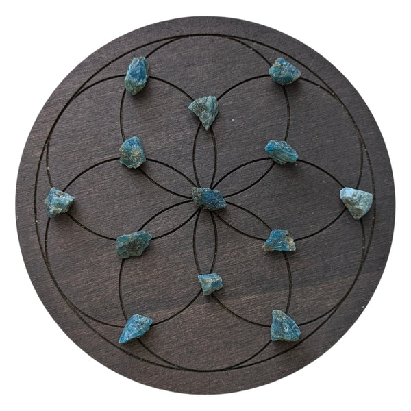 Mini Raw Crystal Grid Sets - Apatite, Emerald, Iron Pyrite - Natural Rough Gemstones - Grid Work