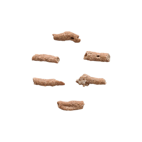 Fulgurites - Set of 6 - Lightning Stones - Fossilized Lightning - Rare Collector Specimen