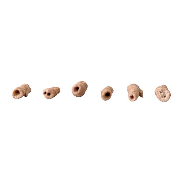 Fulgurites - Set of 6 - Lightning Stones - Fossilized Lightning - Rare Collector Specimen