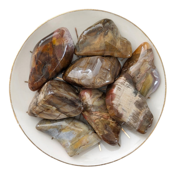 Petrified Wood Tumblestone
