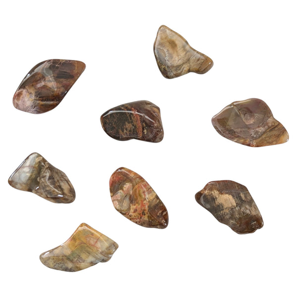 Petrified Wood Tumblestone