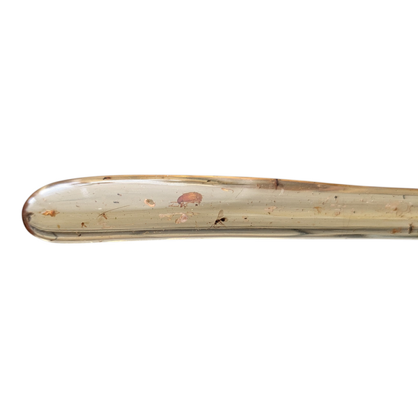 Madagascan Copal Specimen with Insect Inclusions