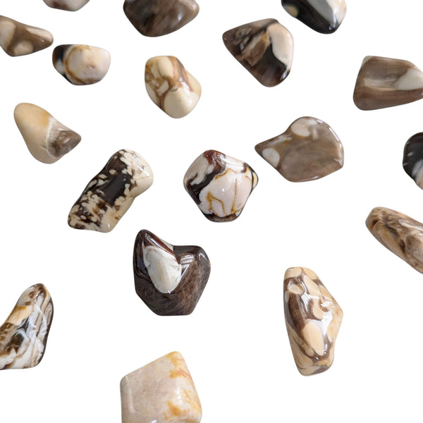 Polished Peanut Fossil Wood Tumblestones measuring 15-25mm. 
