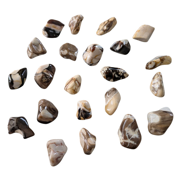 Rare peanut fossil wood gemstones, measuring 15-25mm, with beautiful markings on a brown and cream stones.