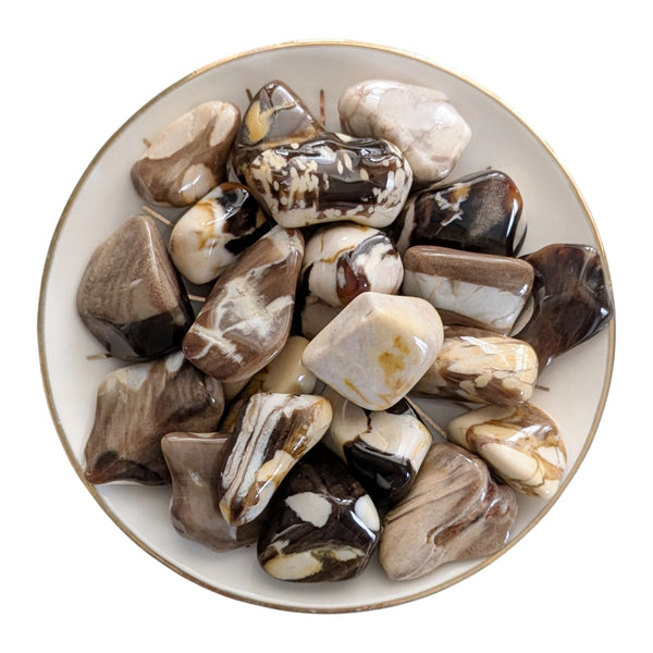 Polished Peanut Fossil Wood tumbled stones measuring 15-25mm, featuring brown, black and cream tones with unique markings.