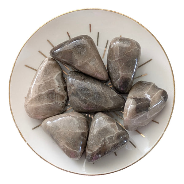 Petoskey Fossil Stone Tumblestone