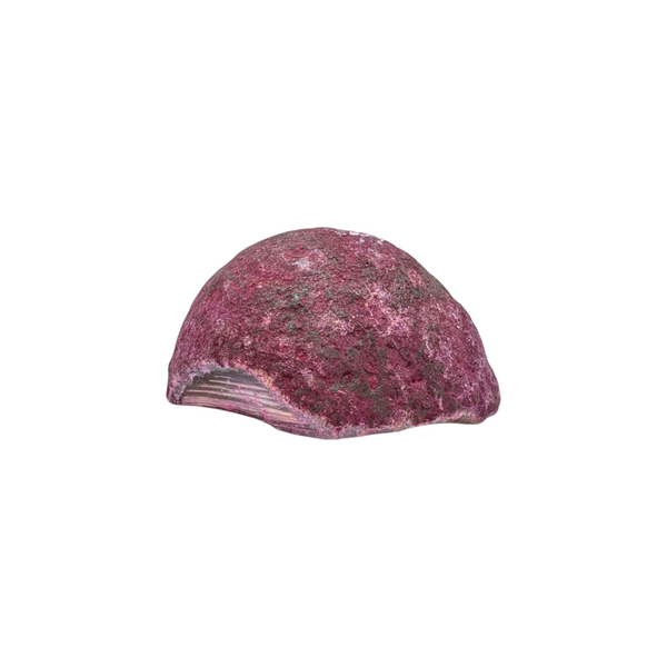 Pink Agate Geode Half Nodule