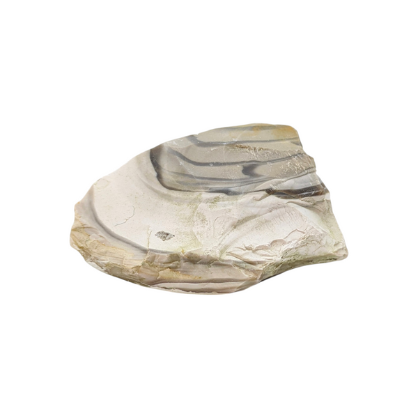 Flint (Banded) Specimen (Poland)