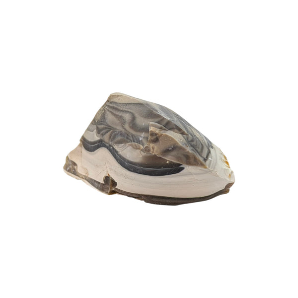 Flint (Banded) Specimen (Poland)