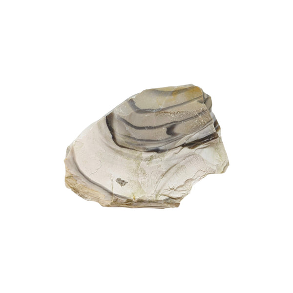 Flint (Banded) Specimen (Poland)