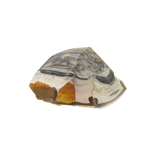 Flint (Banded) Specimen (Poland)