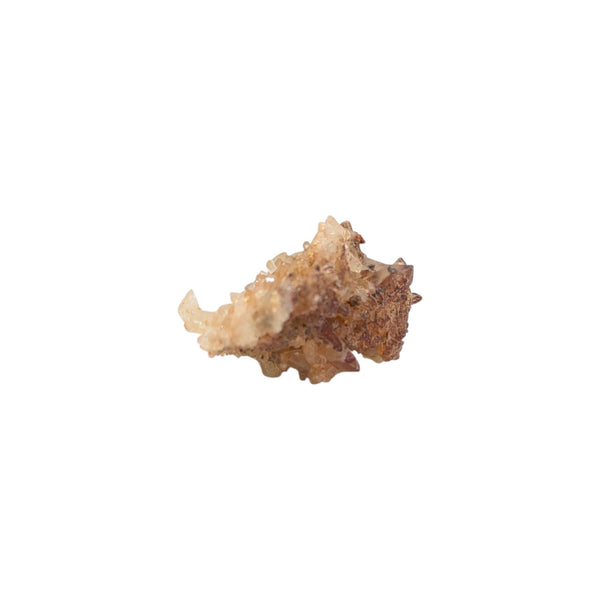 Red River Quartz Cluster Specimen