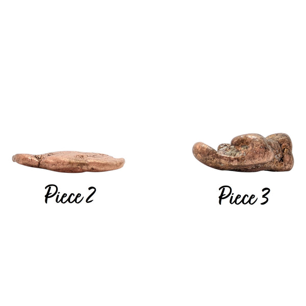 Two Native Copper nuggets from the USA, featuring a flat piece and a knobbly piece. 