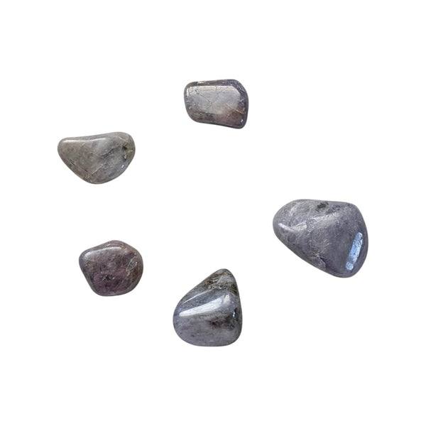 5 small tanzanite gemstones