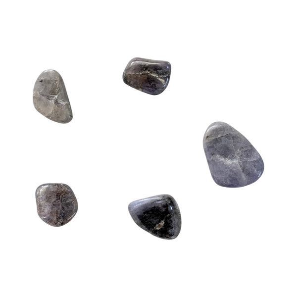 set of 5 polished tanzanite stones in varying blue hues.