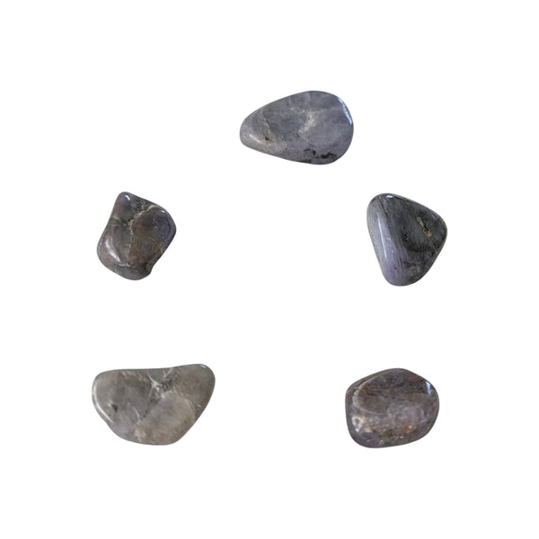 set of 5 tumbled tanzanite crystals each measuring between 5-20mm