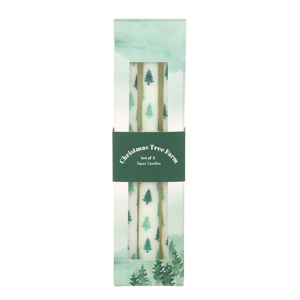 Set of Three White Fir Tree Taper Candles