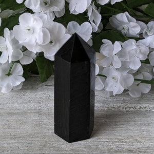 Black Obsidian Generator Point