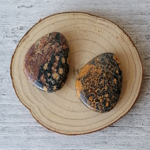 Leopard Skin Jasper Worry Stone
