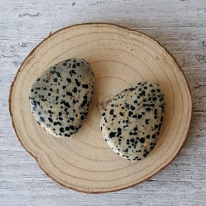 Dalmatian Jasper Worry Stone
