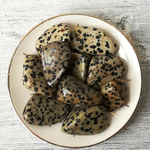 Dalmatian Jasper Tumblestone
