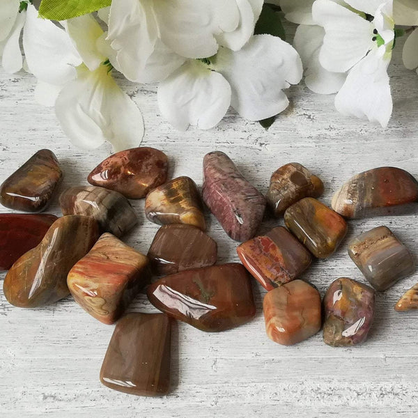 Petrified Wood Tumblestone