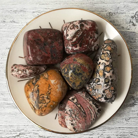 Leopard Skin Jasper Tumblestone