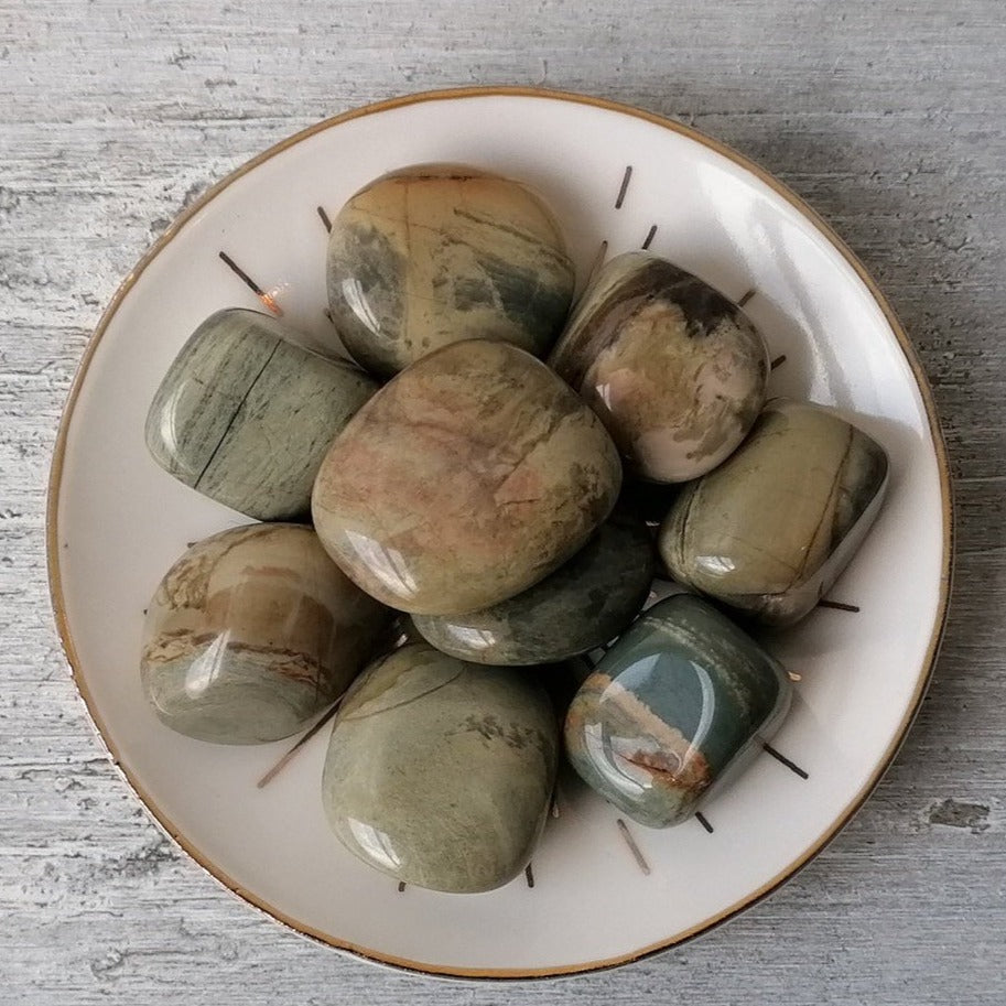Silver Leaf Jasper (Light) Tumblestone