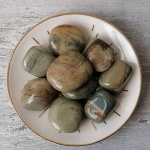 Silver Leaf Jasper (Light) Tumblestone