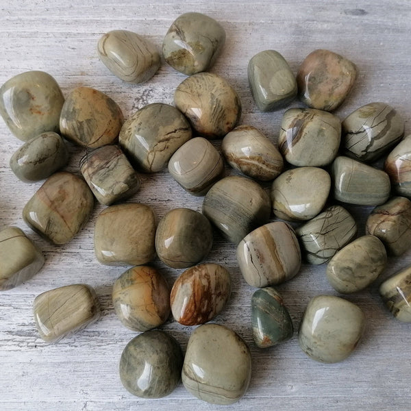 Silver Leaf Jasper (Light) Tumblestone