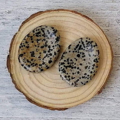 Dalmatian Jasper Thumb Stone