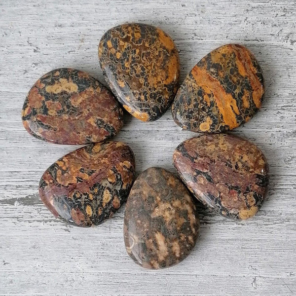 Leopard Skin Jasper Worry Stone