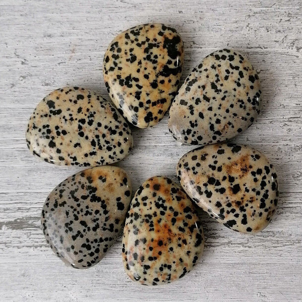 Dalmatian Jasper Worry Stone