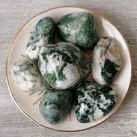 Tree Agate Tumblestone