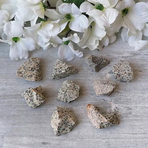 Raw Dalmatian Jasper