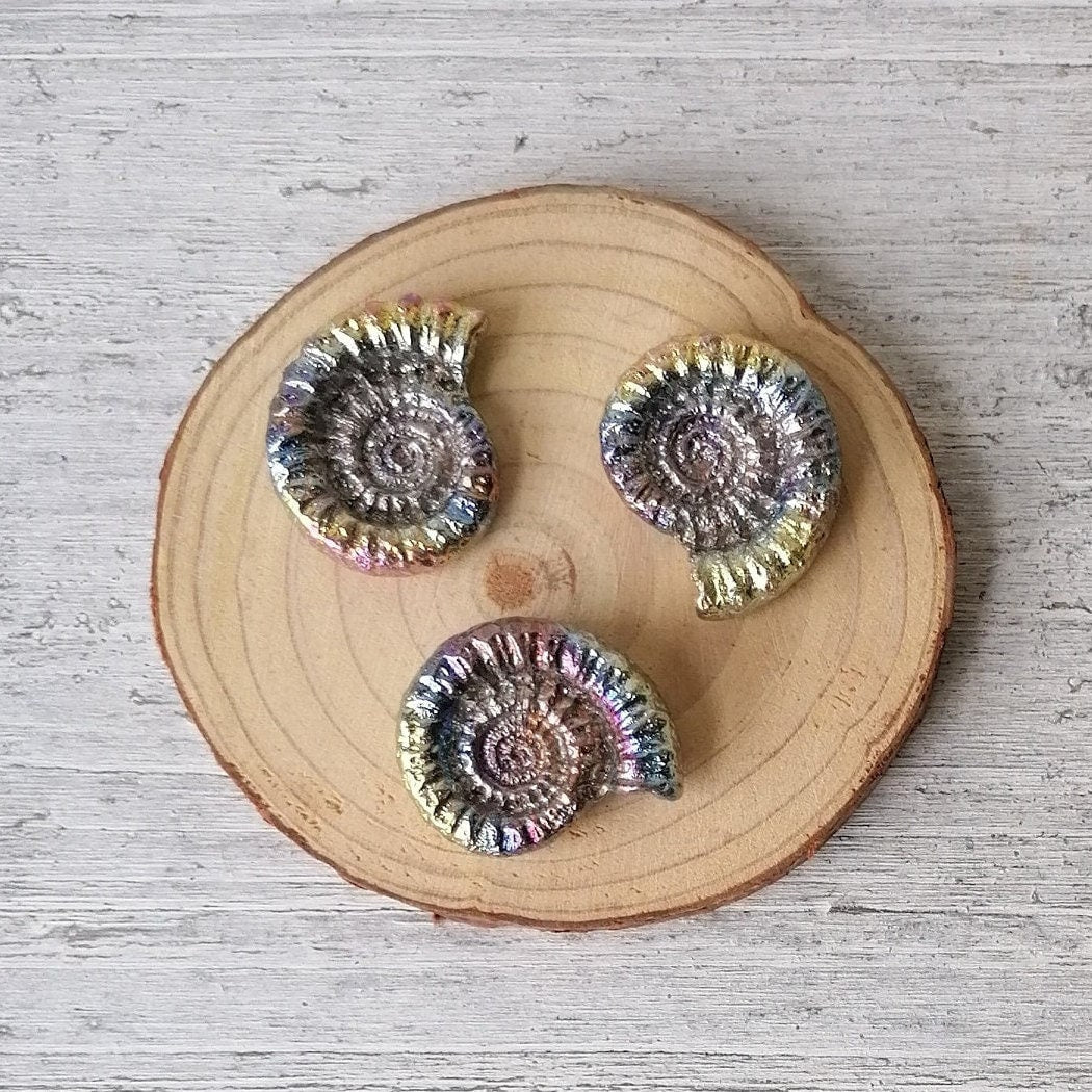 Bismuth Ammonite